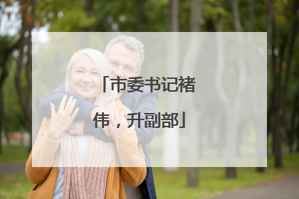 市委书记褚伟，升副部