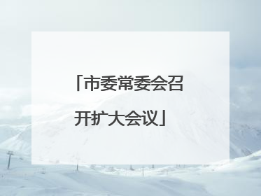 市委常委会召开扩大会议