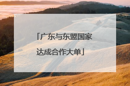 广东与东盟国家达成合作大单