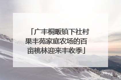 广丰桐畈镇下社村果丰苑家庭农场的百亩桃林迎来丰收季