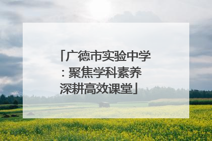 广德市实验中学：聚焦学科素养 深耕高效课堂