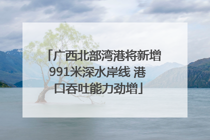广西北部湾港将新增991米深水岸线 港口吞吐能力劲增