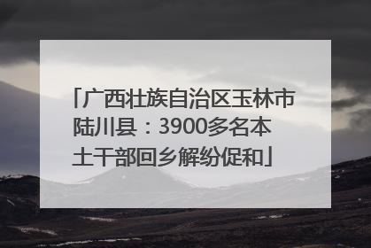 广西壮族自治区玉林市陆川县：3900多名本土干部回乡解纷促和