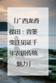 广西龙脊梯田：背篓变迁见证千年农耕传统魅力