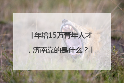 年增15万青年人才，济南靠的是什么？