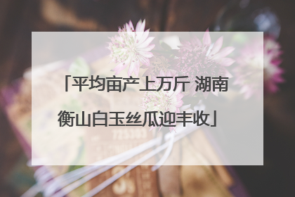 平均亩产上万斤 湖南衡山白玉丝瓜迎丰收