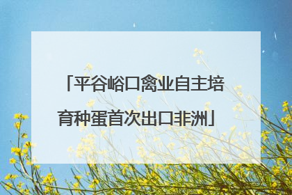 平谷峪口禽业自主培育种蛋首次出口非洲