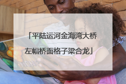 平陆运河金海湾大桥左幅桥面格子梁合龙