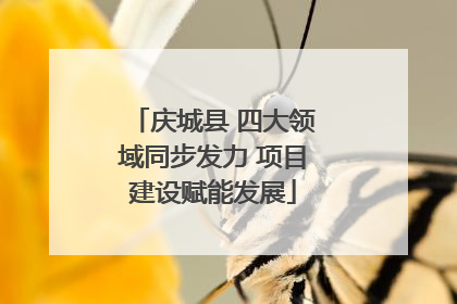 庆城县 四大领域同步发力 项目建设赋能发展