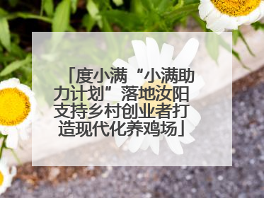 度小满“小满助力计划”落地汝阳支持乡村创业者打造现代化养鸡场