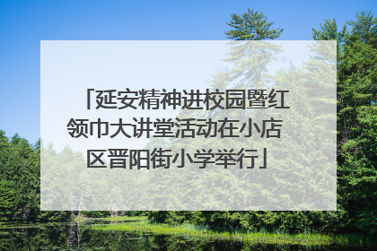 延安精神进校园暨红领巾大讲堂活动在小店区晋阳街小学举行
