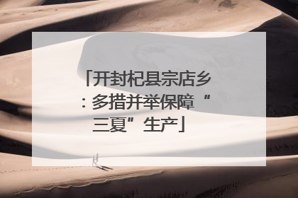 开封杞县宗店乡：多措并举保障“三夏”生产