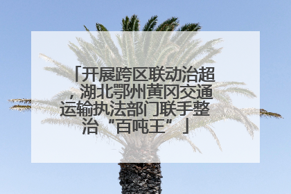 开展跨区联动治超，湖北鄂州黄冈交通运输执法部门联手整治“百吨王”