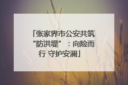 张家界市公安共筑“防洪堤”：向险而行 守护安澜