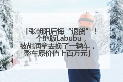 张朝阳后悔“退货”！一个绝版Labubu，被胡润拿去换了一辆车，整车原价值上百万元