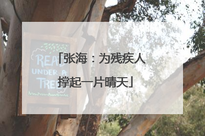 张海：为残疾人撑起一片晴天