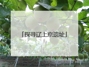 探寻辽上京遗址