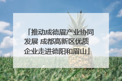 推动成德眉产业协同发展 成都高新区优质企业走进德阳和眉山