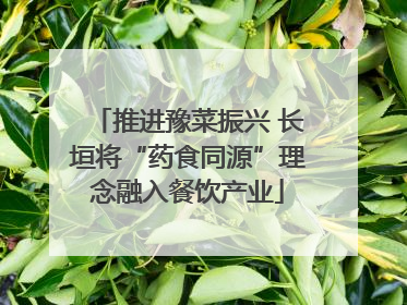 推进豫菜振兴 长垣将“药食同源”理念融入餐饮产业