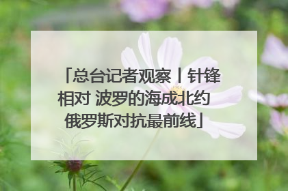 总台记者观察丨针锋相对 波罗的海成北约俄罗斯对抗最前线