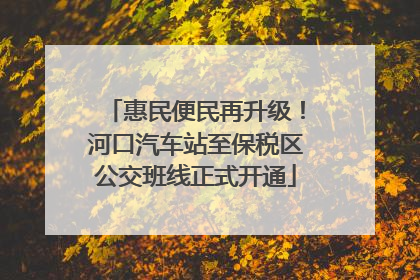 惠民便民再升级！河口汽车站至保税区公交班线正式开通