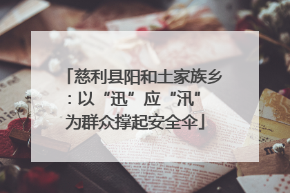 慈利县阳和土家族乡：以“迅”应“汛” 为群众撑起安全伞