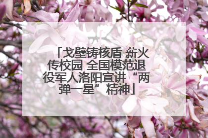 戈壁铸核盾 薪火传校园 全国模范退役军人洛阳宣讲“两弹一星”精神