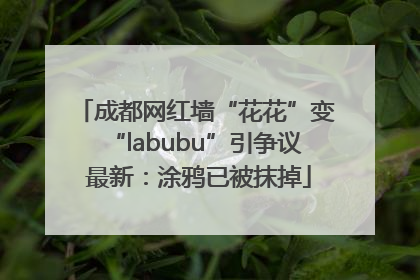 成都网红墙“花花”变“labubu”引争议 最新：涂鸦已被抹掉