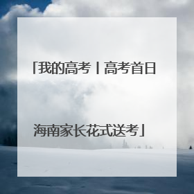 我的高考丨高考首日 海南家长花式送考