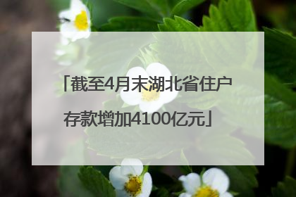 截至4月末湖北省住户存款增加4100亿元