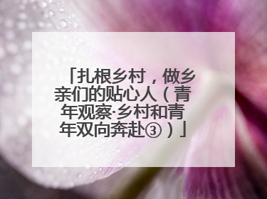 扎根乡村，做乡亲们的贴心人（青年观察·乡村和青年双向奔赴③）
