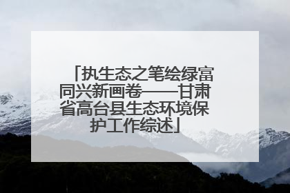 执生态之笔绘绿富同兴新画卷——甘肃省高台县生态环境保护工作综述