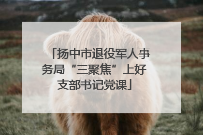 扬中市退役军人事务局“三聚焦”上好支部书记党课