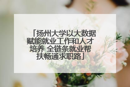 扬州大学以大数据赋能就业工作和人才培养 全链条就业帮扶畅通求职路
