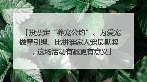 投票定“养宠公约”、为爱宠做牵引绳、比拼谁家人宠最默契，这场活动有趣更有意义