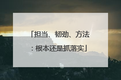 担当、韧劲、方法：根本还是抓落实