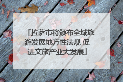 拉萨市将颁布全域旅游发展地方性法规 促进文旅产业大发展