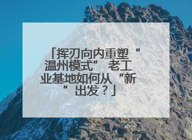 挥刃向内重塑“温州模式” 老工业基地如何从“新”出发？