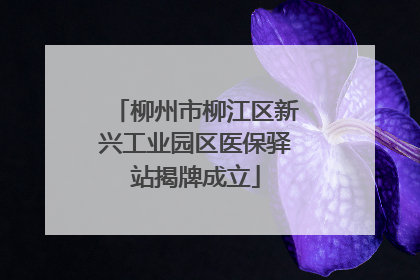 柳州市柳江区新兴工业园区医保驿站揭牌成立