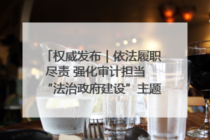 权威发布｜依法履职尽责 强化审计担当 “法治政府建设”主题系列新闻发布会市审计局专场召开