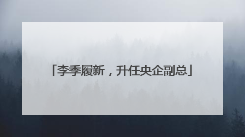 李季履新，升任央企副总