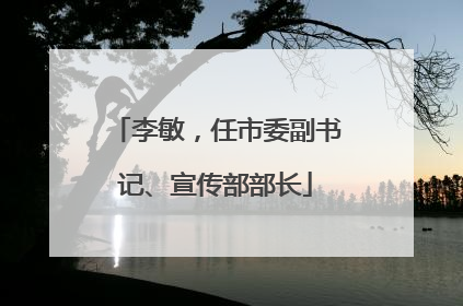 李敏，任市委副书记、宣传部部长
