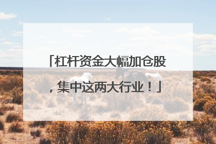 杠杆资金大幅加仓股，集中这两大行业！