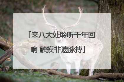 来八大处聆听千年回响 触摸非遗脉搏