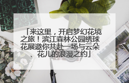 来这里，开启梦幻花境之旅！滨江森林公园绣球花展邀你共赴一场与云朵、花儿的浪漫之约
