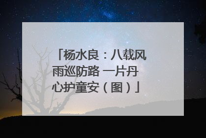 杨水良：八载风雨巡防路 一片丹心护童安（图）