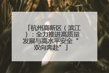杭州高新区（滨江）：全力推进高质量发展与高水平安全“双向奔赴”