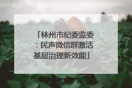 林州市纪委监委：民声微信群激活基层治理新效能