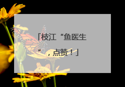 枝江“鱼医生”，点赞！