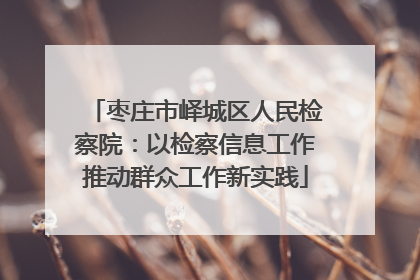 枣庄市峄城区人民检察院：以检察信息工作推动群众工作新实践